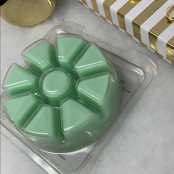 Scent Plus Mountain Waters Aroma Melt PartyLite - Picture 2 of 3